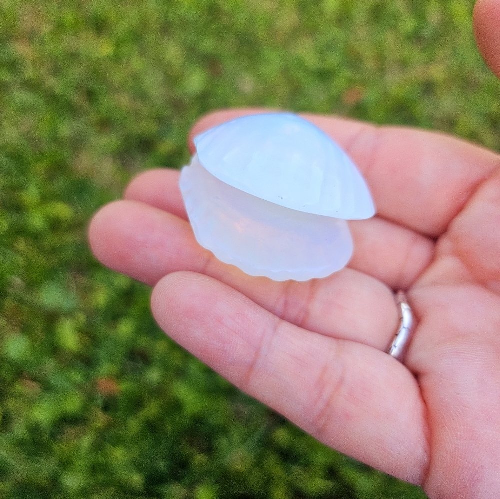 3 mini open clam shell 1.2 in each - Picture 4 of 6